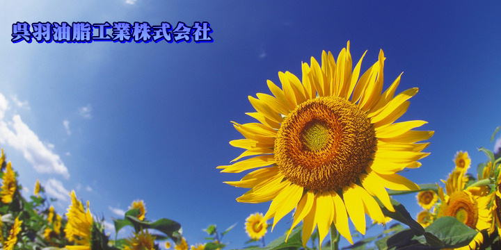 ���H�����H��